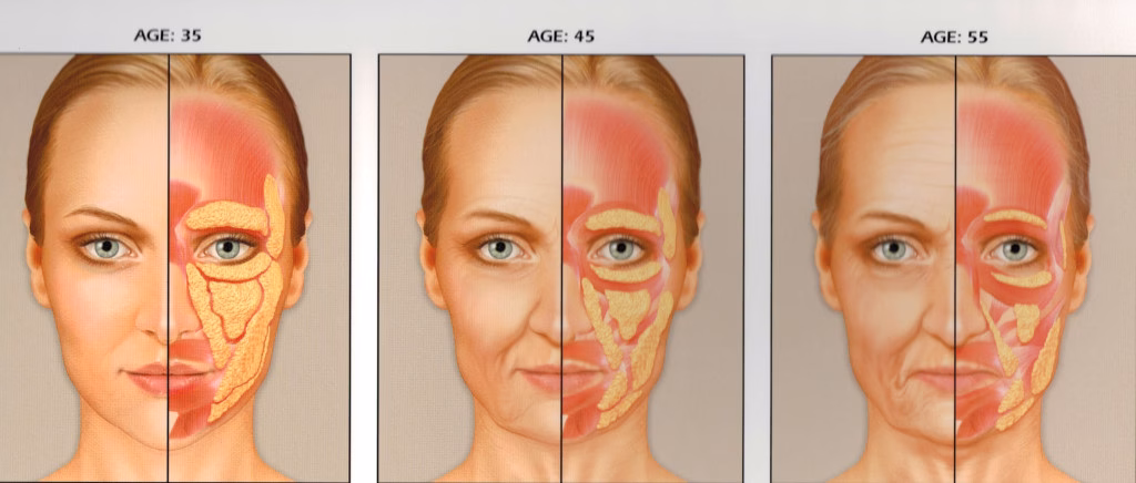 Benefits of Collagen